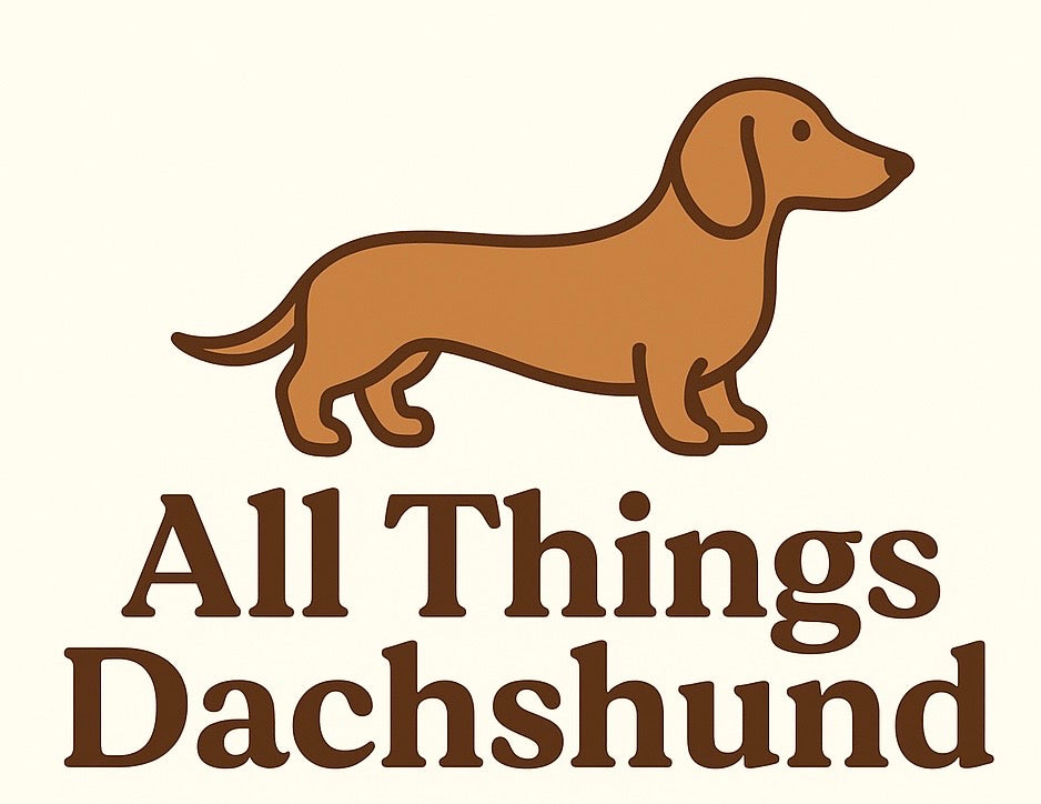 All Things Dachshund